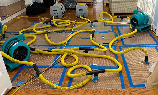 Professional Storm Water Damage Restoration technician working in Port Jefferson, OH